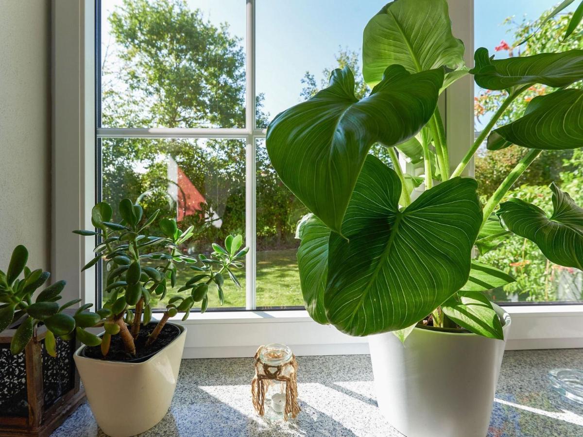 Nice Flat With Sauna Covered Terrace Garden And Tree House For Children Zandt Extérieur photo